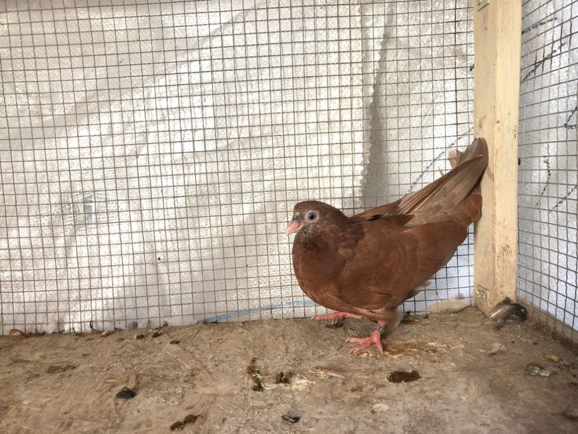 2023/20 - 3-lot zbor 2020