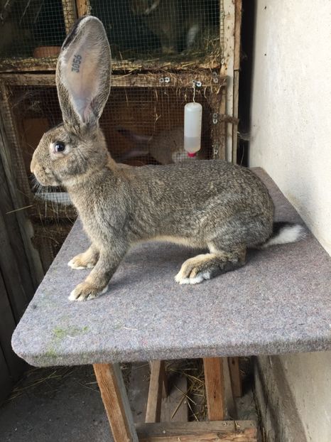 AC093B67-EEAC-4A6F-8D5B-D0ED757673CC - RO 8-3056