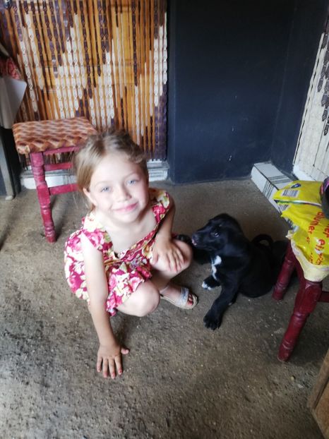  - 2020-Paznicul porumbeiilor