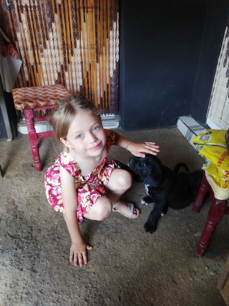  - 2020-Paznicul porumbeiilor