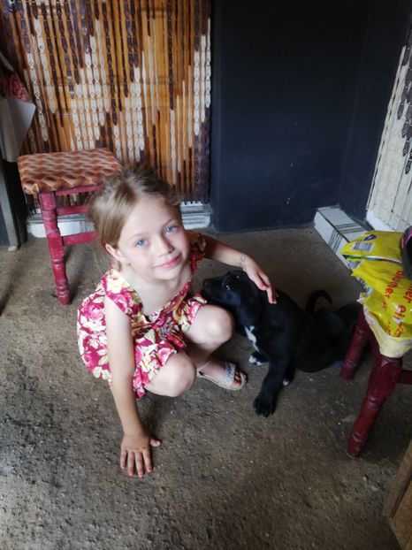  - 2020-Paznicul porumbeiilor