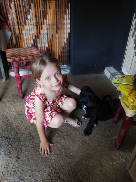  - 2020-Paznicul porumbeiilor