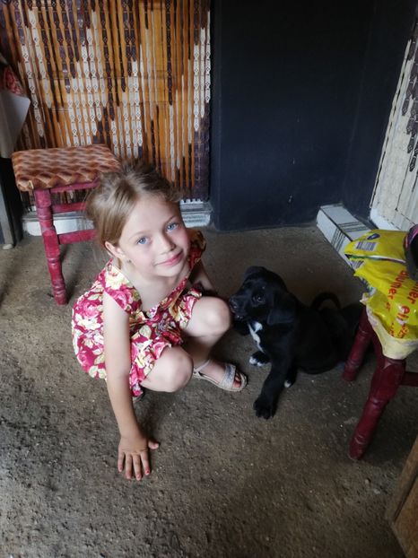  - 2020-Paznicul porumbeiilor