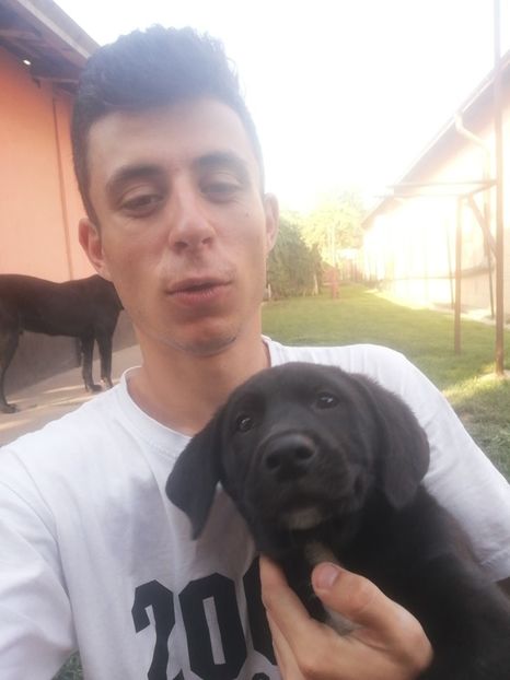  - 2020-Paznicul porumbeiilor