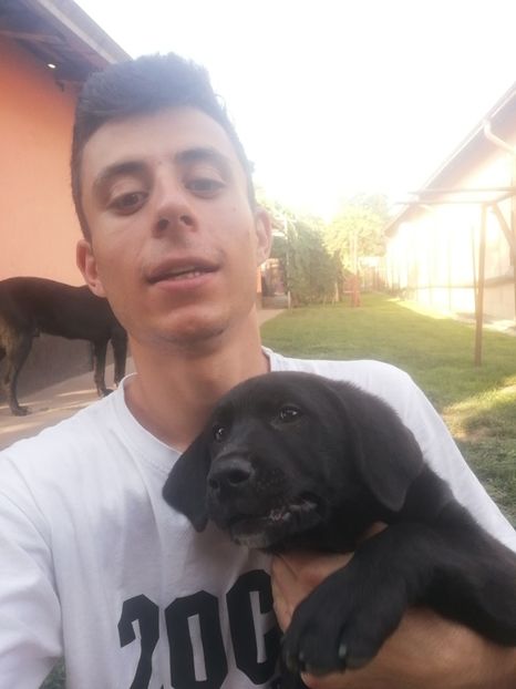  - 2020-Paznicul porumbeiilor