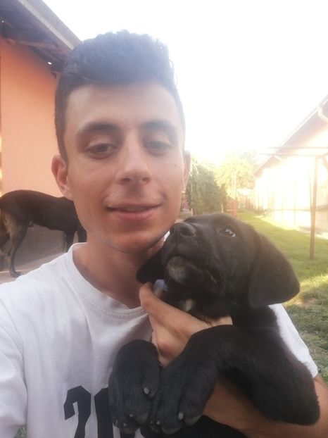  - 2020-Paznicul porumbeiilor