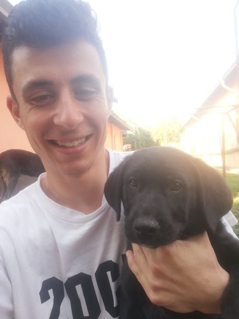  - 2020-Paznicul porumbeiilor