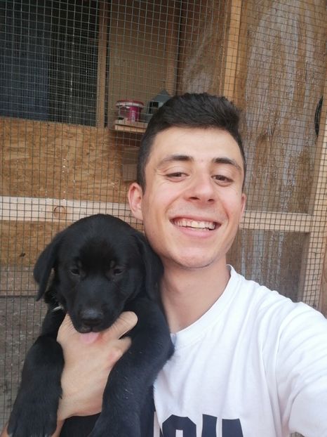  - 2020-Paznicul porumbeiilor