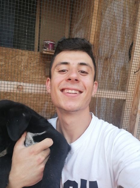  - 2020-Paznicul porumbeiilor