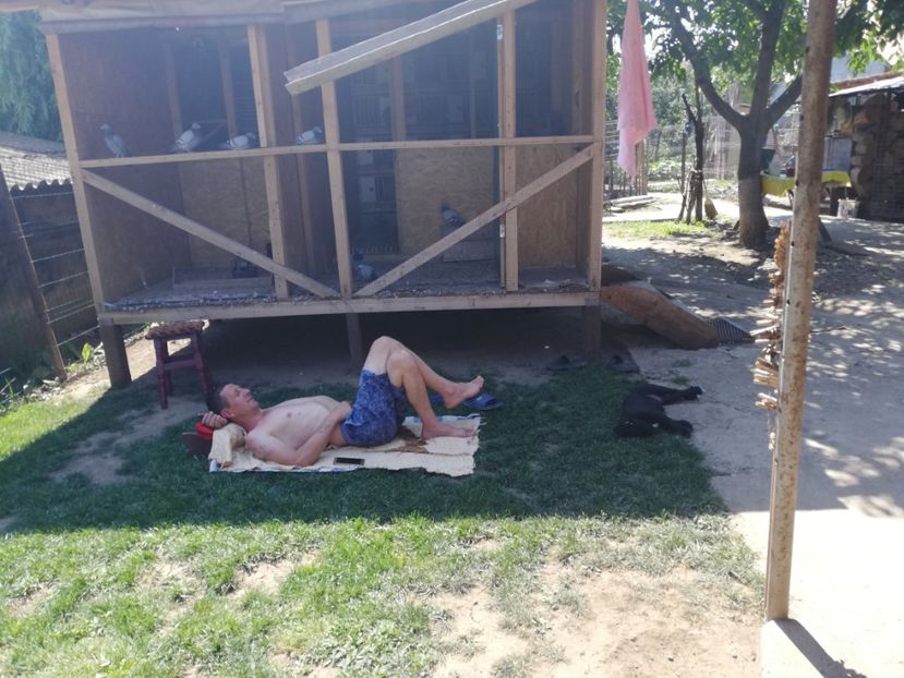  - 2020-Paznicul porumbeiilor