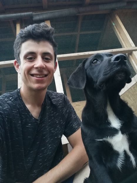  - 2020-Paznicul porumbeiilor