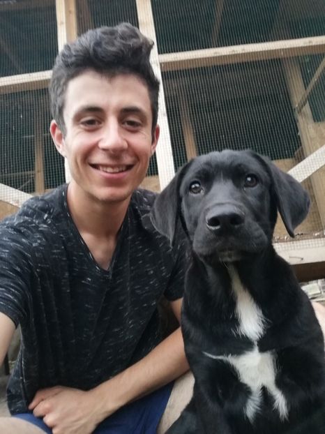  - 2020-Paznicul porumbeiilor