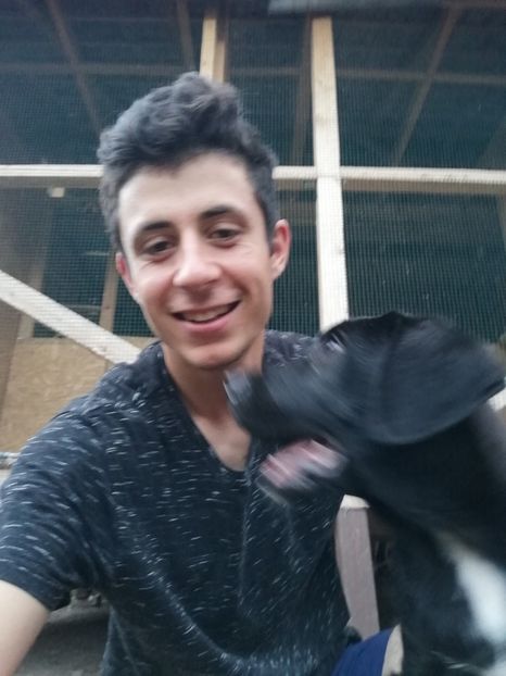  - 2020-Paznicul porumbeiilor