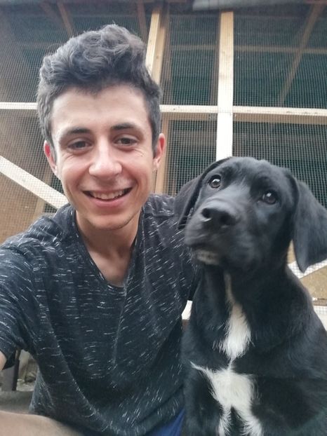  - 2020-Paznicul porumbeiilor