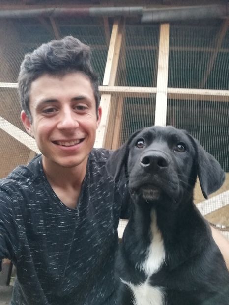  - 2020-Paznicul porumbeiilor