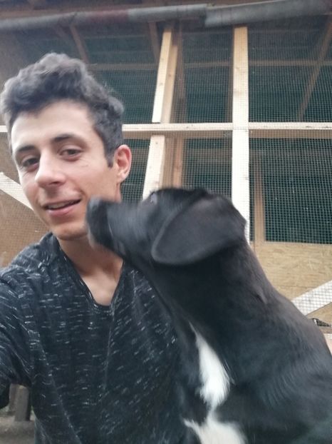  - 2020-Paznicul porumbeiilor