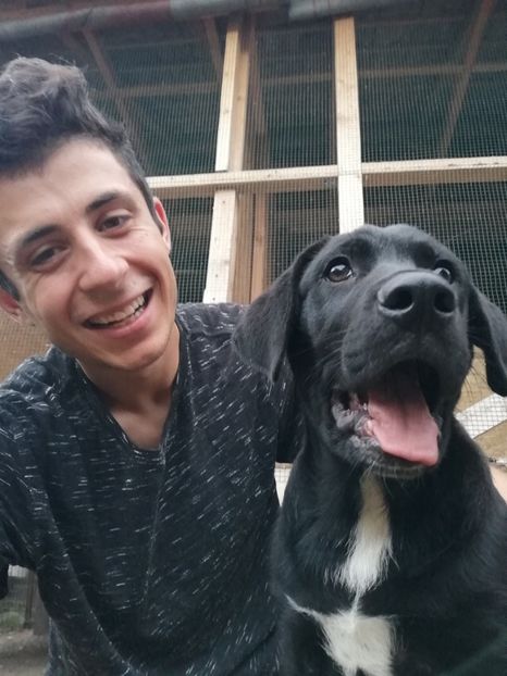  - 2020-Paznicul porumbeiilor