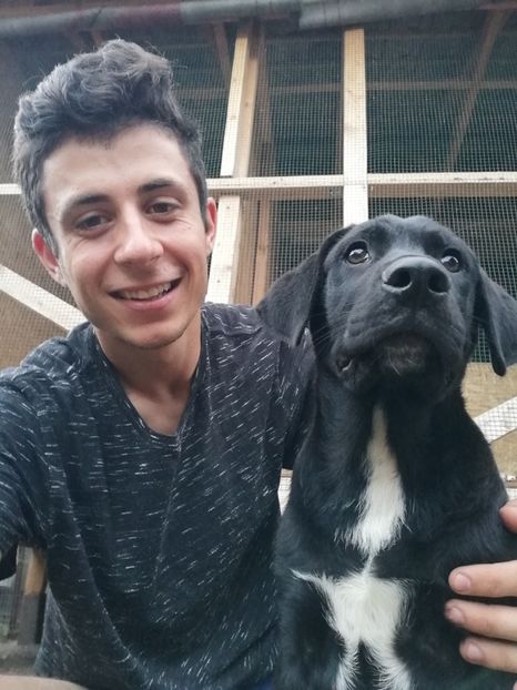  - 2020-Paznicul porumbeiilor