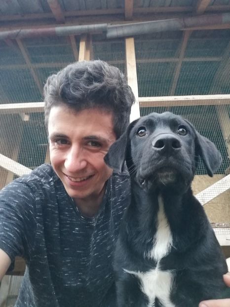  - 2020-Paznicul porumbeiilor