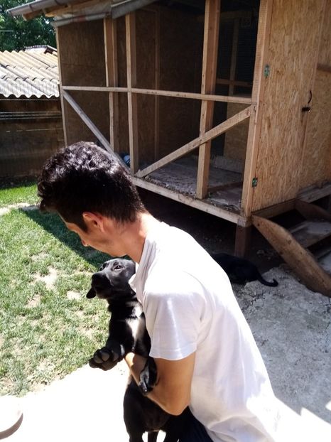 IMG-20200716-WA0018 - 2020-Paznicul porumbeiilor