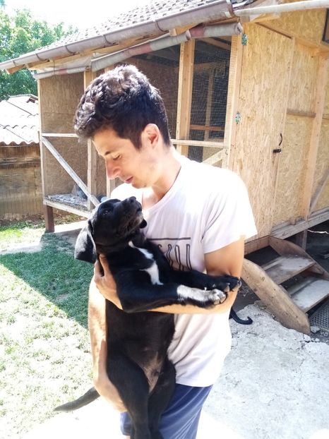 IMG-20200716-WA0019 - 2020-Paznicul porumbeiilor