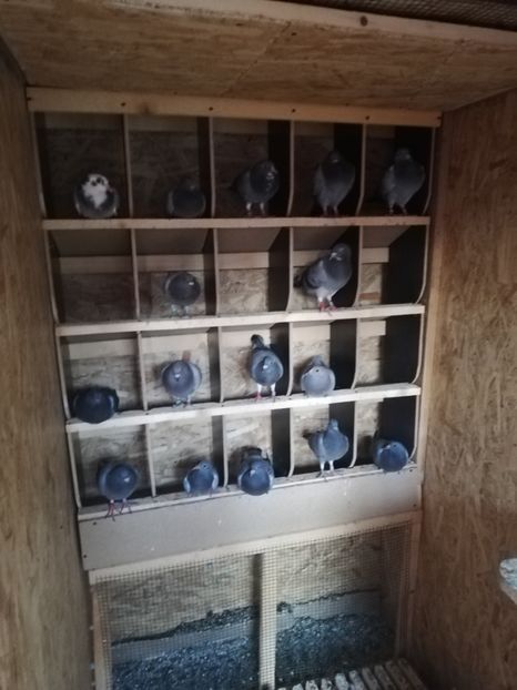  - 2020- -Diverse 2020