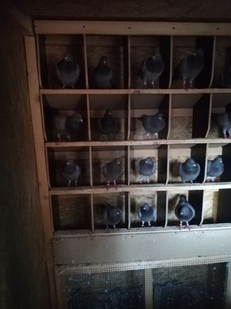  - 2020- -Diverse 2020