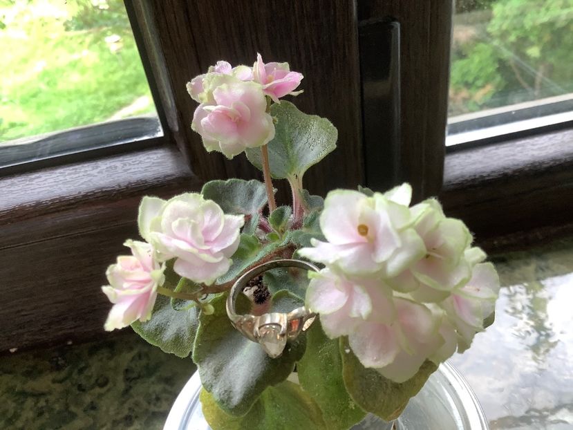 984D2DC9-FA73-4DF3-B132-A22498415738 - Petite Blarney