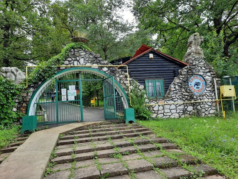  - Castelul Corvinilor