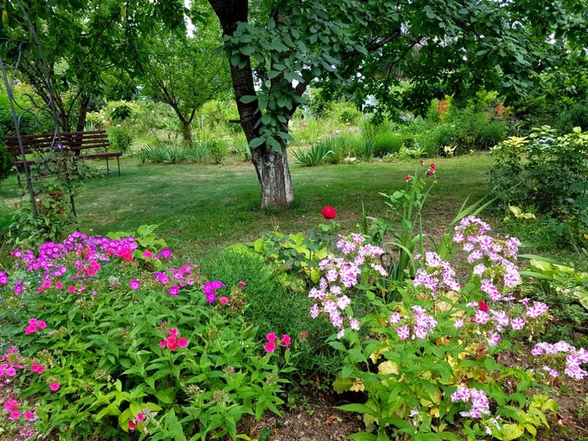  - 2020 Poiana Ciresului