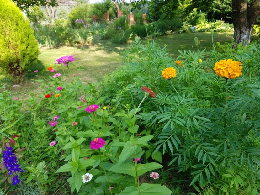  - 2020 Poiana Ciresului