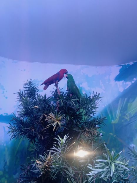  - Poze muzeul Antipa