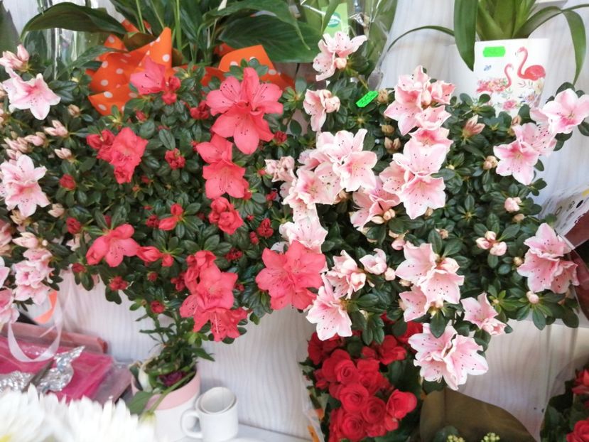  - Aranjamente florale