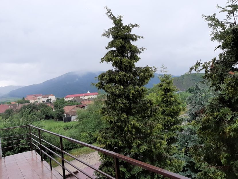  - Mărginimea Sibiului iulie 2020