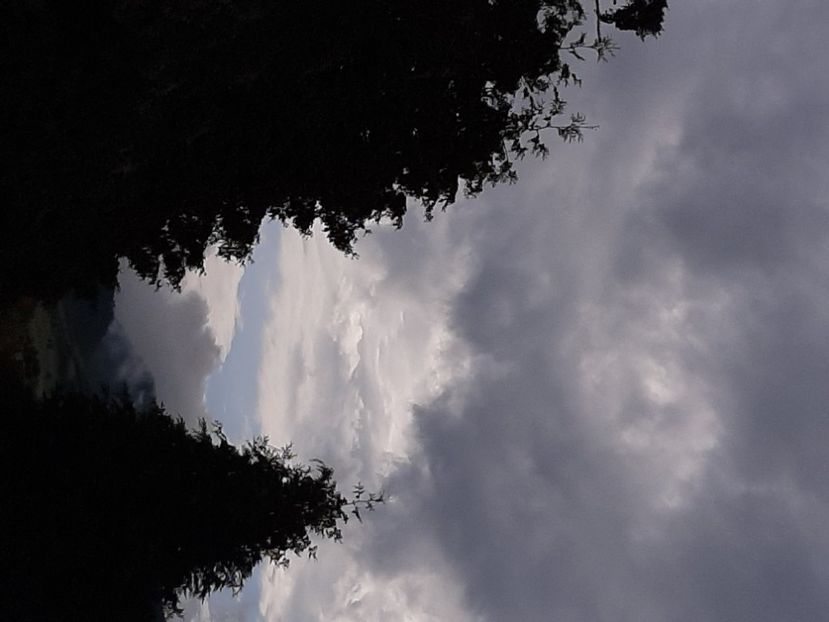  - Mărginimea Sibiului iulie 2020