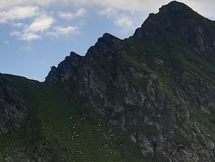  - Transfăgărășanul în 2020