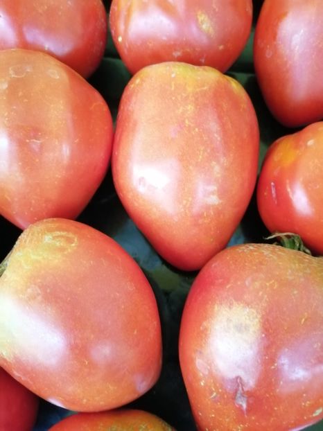  - Gradina cu legume-2017-acasa recolte 2018 - 2023