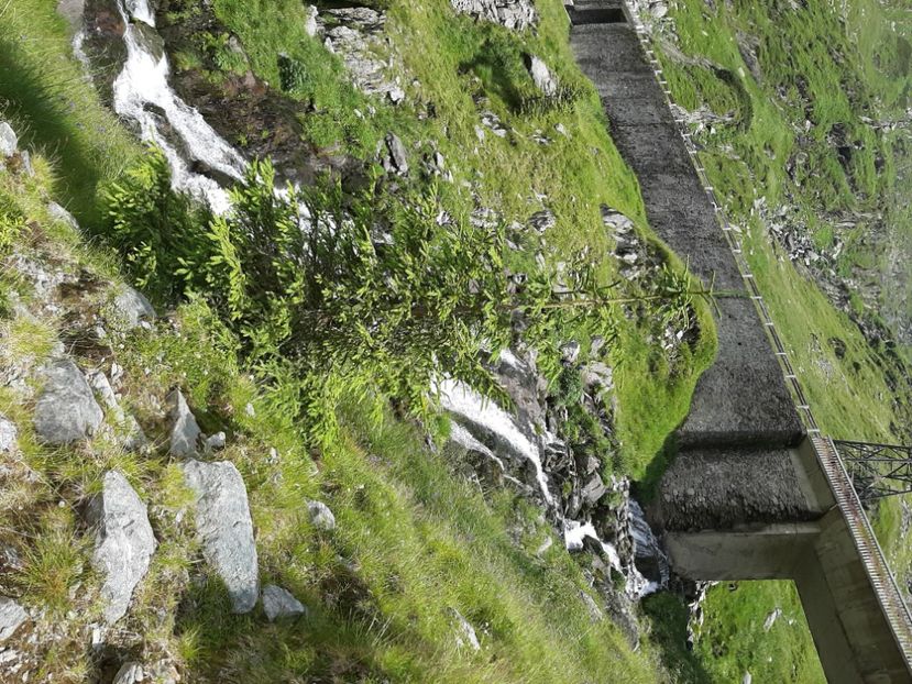  - Transfăgărășanul în 2020