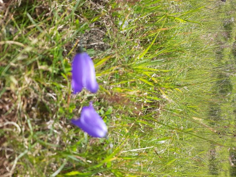  - Transfăgărășanul în 2020