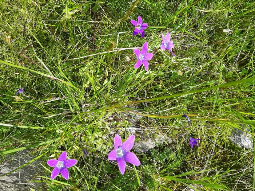  - Transfăgărășanul în 2020