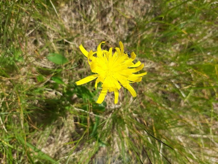  - Transfăgărășanul în 2020