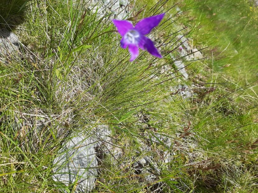  - Transfăgărășanul în 2020