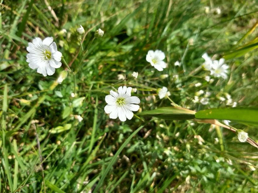  - Transfăgărășanul în 2020