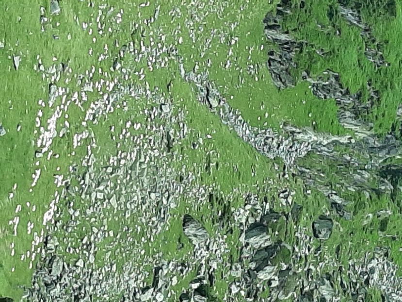  - Transfăgărășanul în 2020