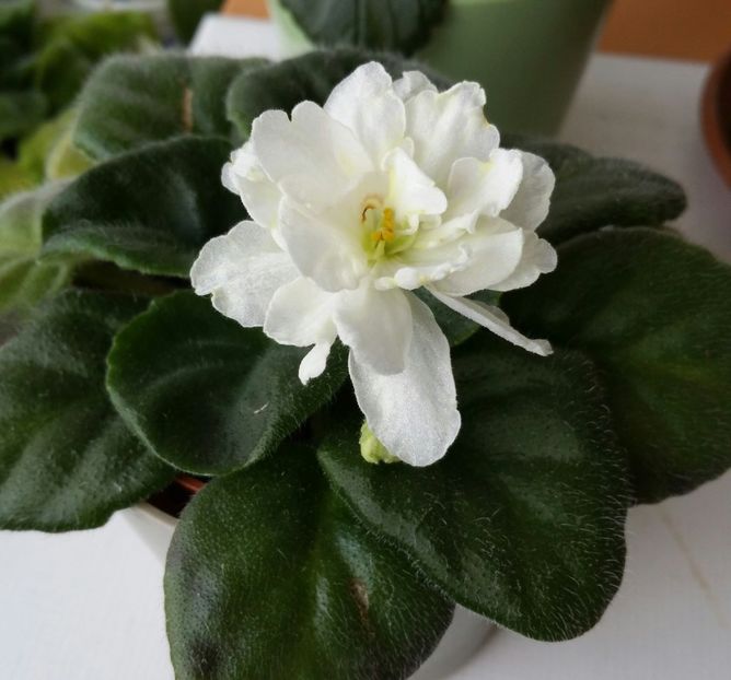 20200726_182825-1 - 2020