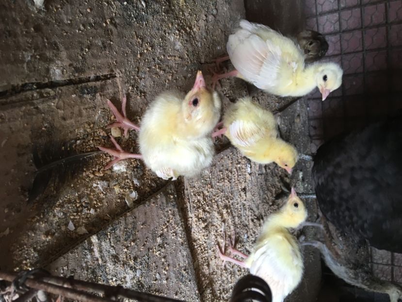 6AD25E7D-A968-4CFE-9083-2A04E88555DC - Xxxx