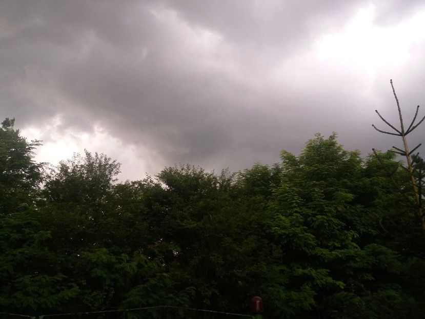 116586524_2581961262056222_617245073116007592_n (1) - Vine ploaia