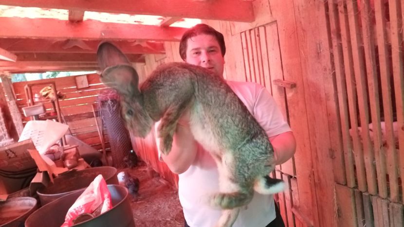  - 05-SZURKE ORIAS-URIAS GRI