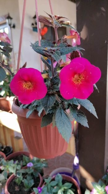  - Serges Fantasy -cristalesipietre