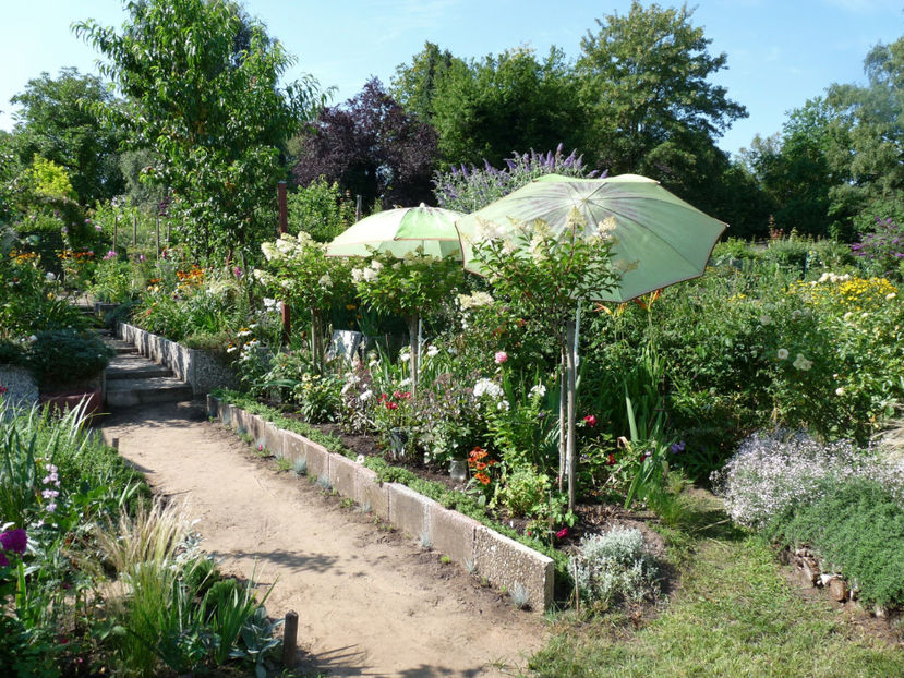 Arsita si seceta! Ploaia doar cu picatura! :(( - 2020 - 02 - Vara